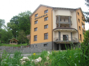 Отель Pension Waldburg  Рашнов